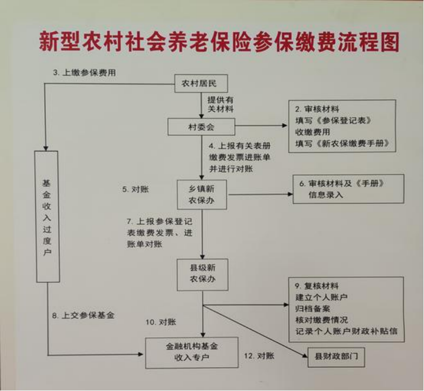 双鸭山农村医保和社保有什么区别(农村医保跟社保的区别)